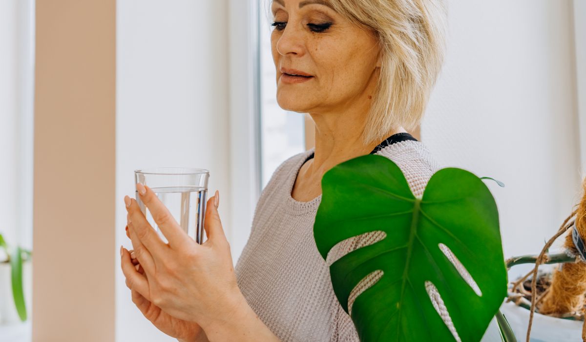 Using Rainwater for Healthier Houseplants at Home
